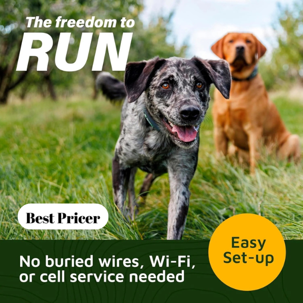 Best Pricer™ GPS Wireless Dog Fence Collar – Omni Model | Accurate & Reliable | Unlimited GPS Fences | 40+ Hour Battery Life | No Subscription Required | For Large Dog Breeds (19"–26" Neck)