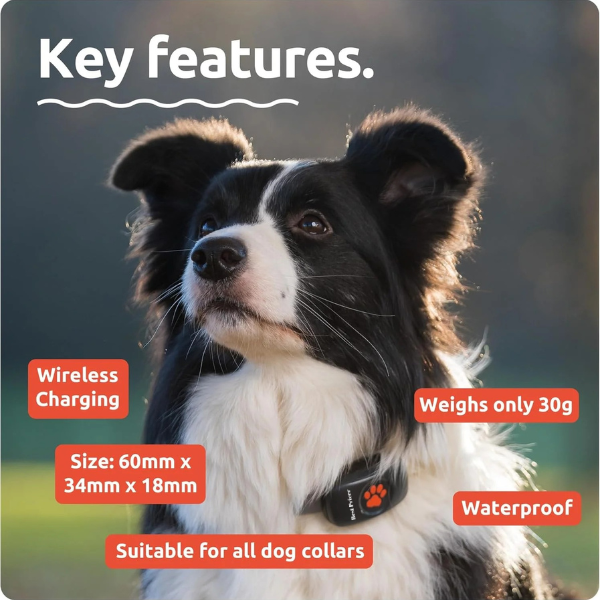 Best Pricer™ Dog GPS Tracker – No Subscription Required | Real Satellite Tracking | Unlimited Range | Waterproof & Lightweight | Fits All Collars | Made in the UK