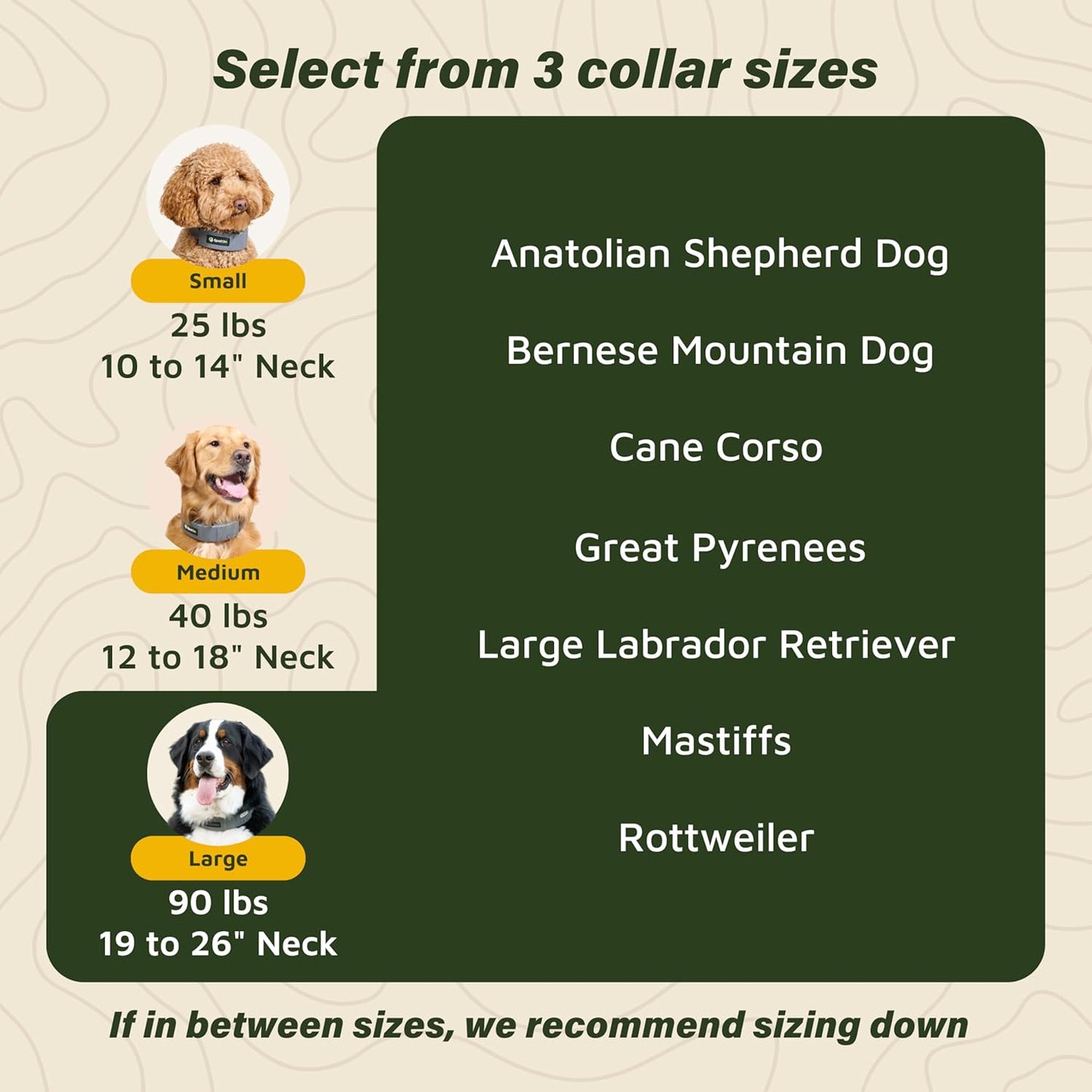 Best Pricer™ GPS Wireless Dog Fence Collar – Omni Model | Accurate & Reliable | Unlimited GPS Fences | 40+ Hour Battery Life | No Subscription Required | For Large Dog Breeds (19"–26" Neck)