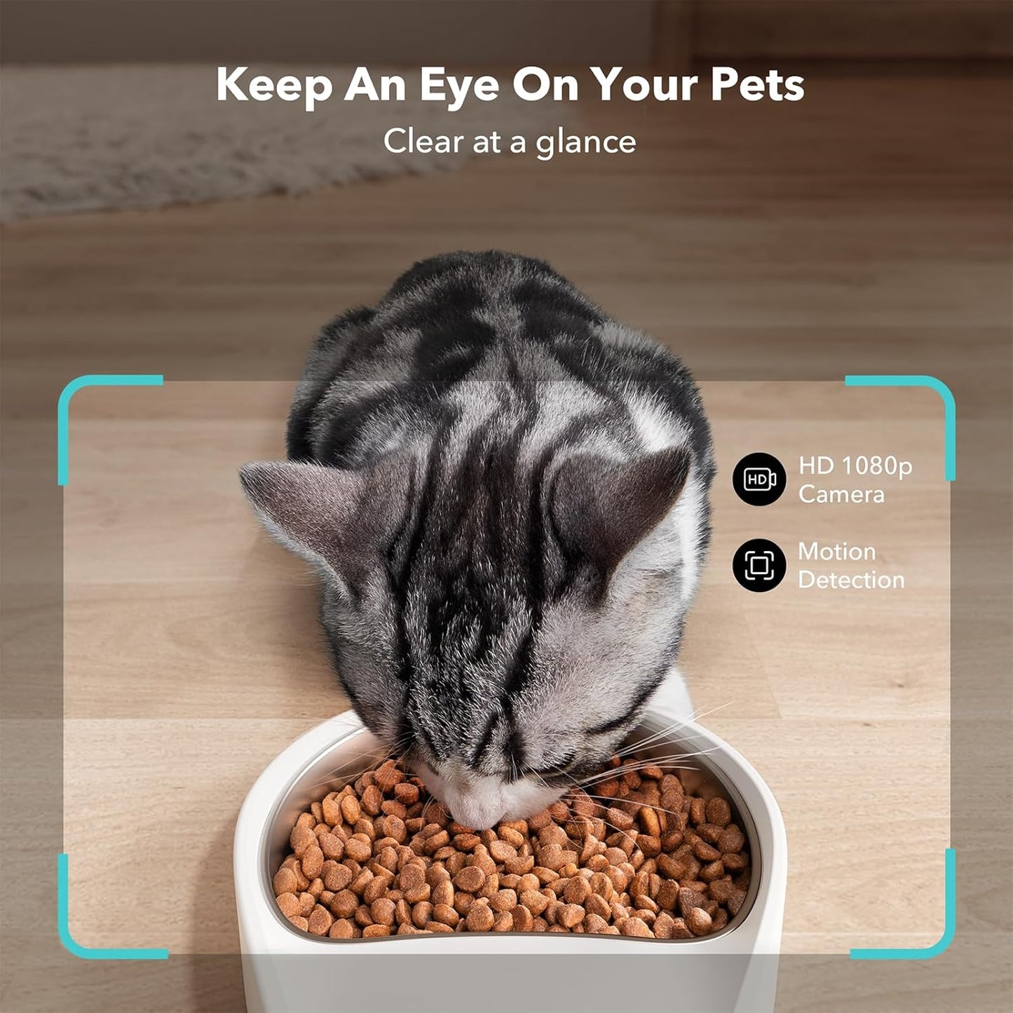 Best Pricer™ Automatic Cat Feeder with Camera (5L) | 1080p HD Live Monitoring | Smart Feeding App | Two-Way Audio | Night Vision | Food Freshness Lock System