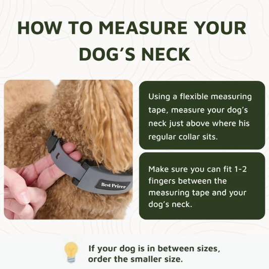 Best Pricer™ GPS Wireless Dog Fence Collar – Omni Model | Accurate & Reliable | Unlimited GPS Fences | 40+ Hour Battery Life | No Subscription Required | For Large Dog Breeds (19"–26" Neck)