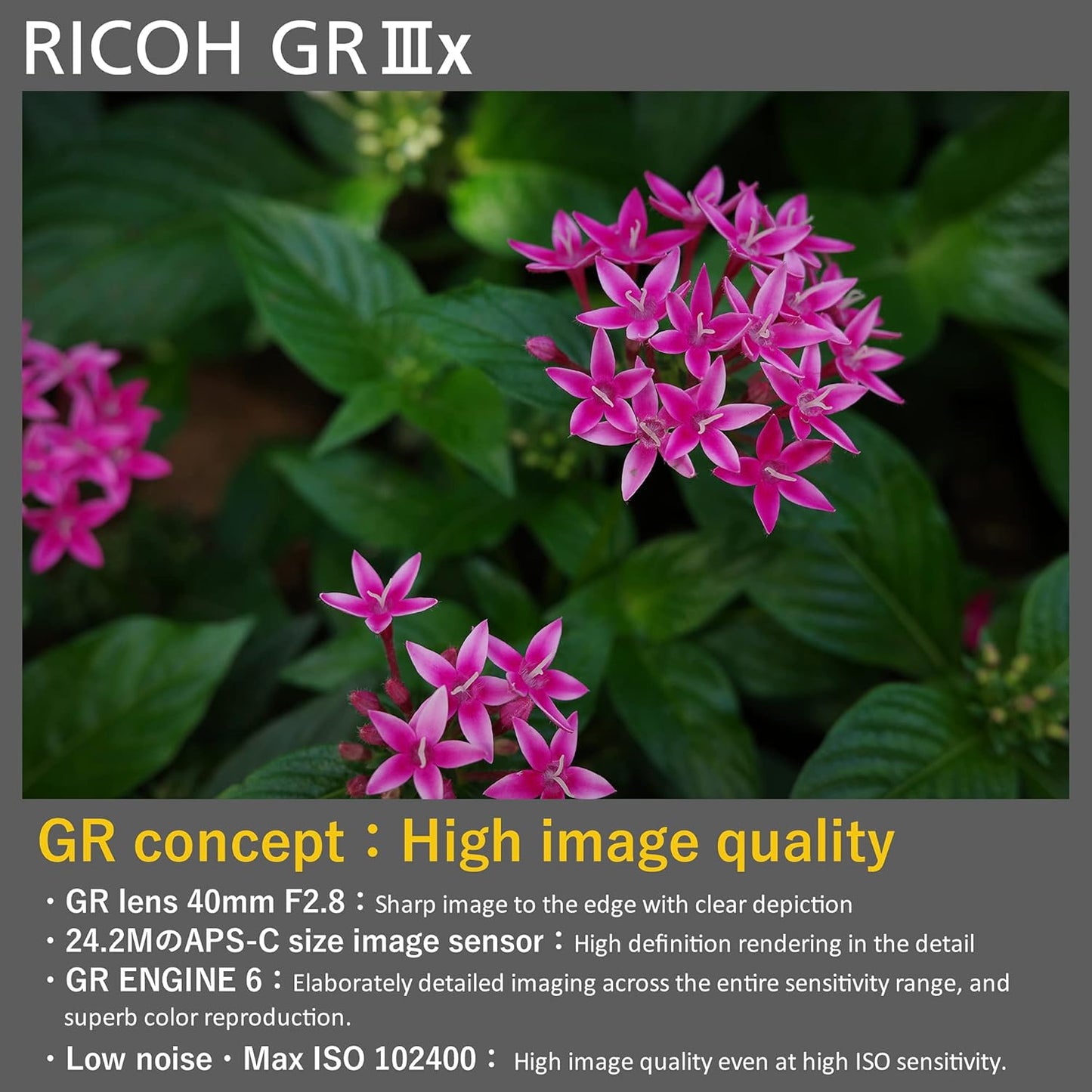 Ricoh GR IIIx Digital Camera – 40mm f/2.8 Lens, 24.2MP APS-C Sensor, Fast Hybrid AF