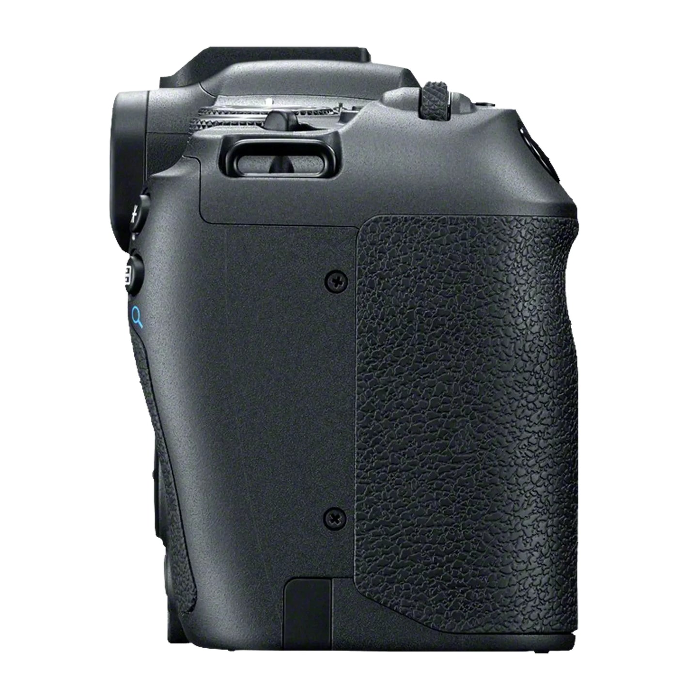 Canon EOS R8 with RF 24-105mm F4-7.1 IS STM