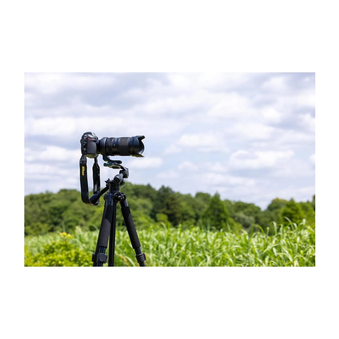 Tamron 50-400mm F/4.5-6.3 Di III VC VXD Lens (A067) (Nikon Z)
