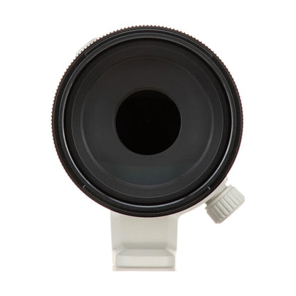 Sony FE 70-200mm F/4 Macro G OSS II Lens (SEL70200G2) + FE 2X Teleconverter (SEL20TC)