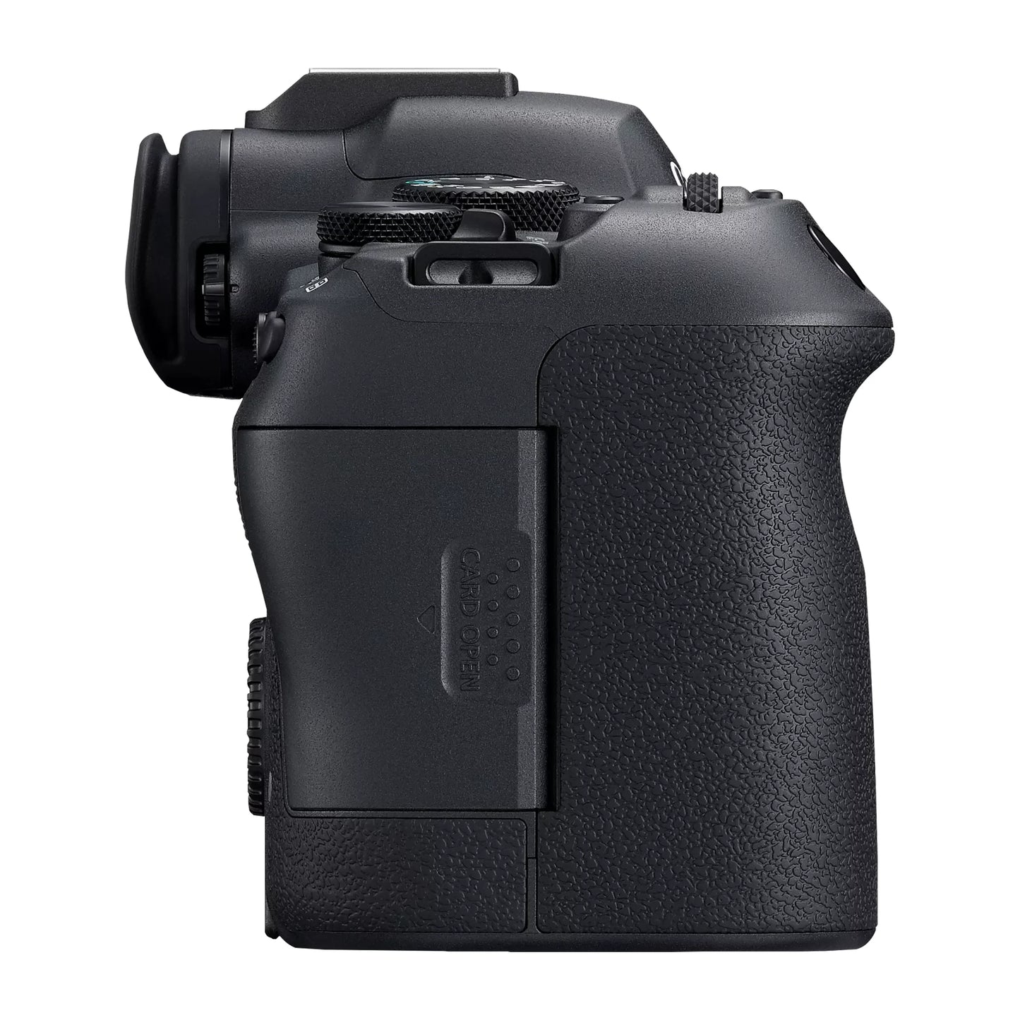 Canon EOS R6 Mark II with RF 24-105mm f/4L IS USM Lens