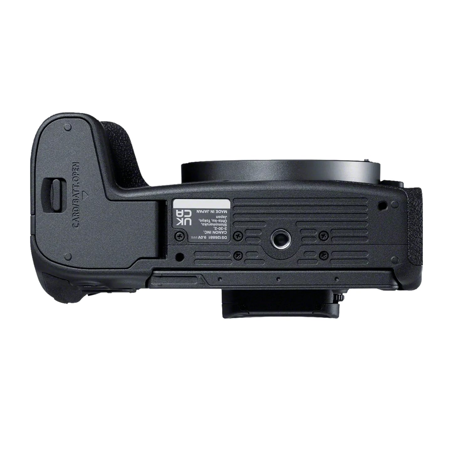 Canon EOS R8 with RF 24-105mm F4-7.1 IS STM