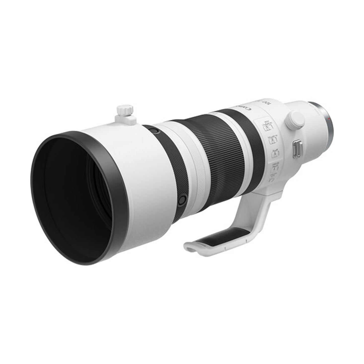 Canon RF 100-300mm F/2.8 L IS USM Lens