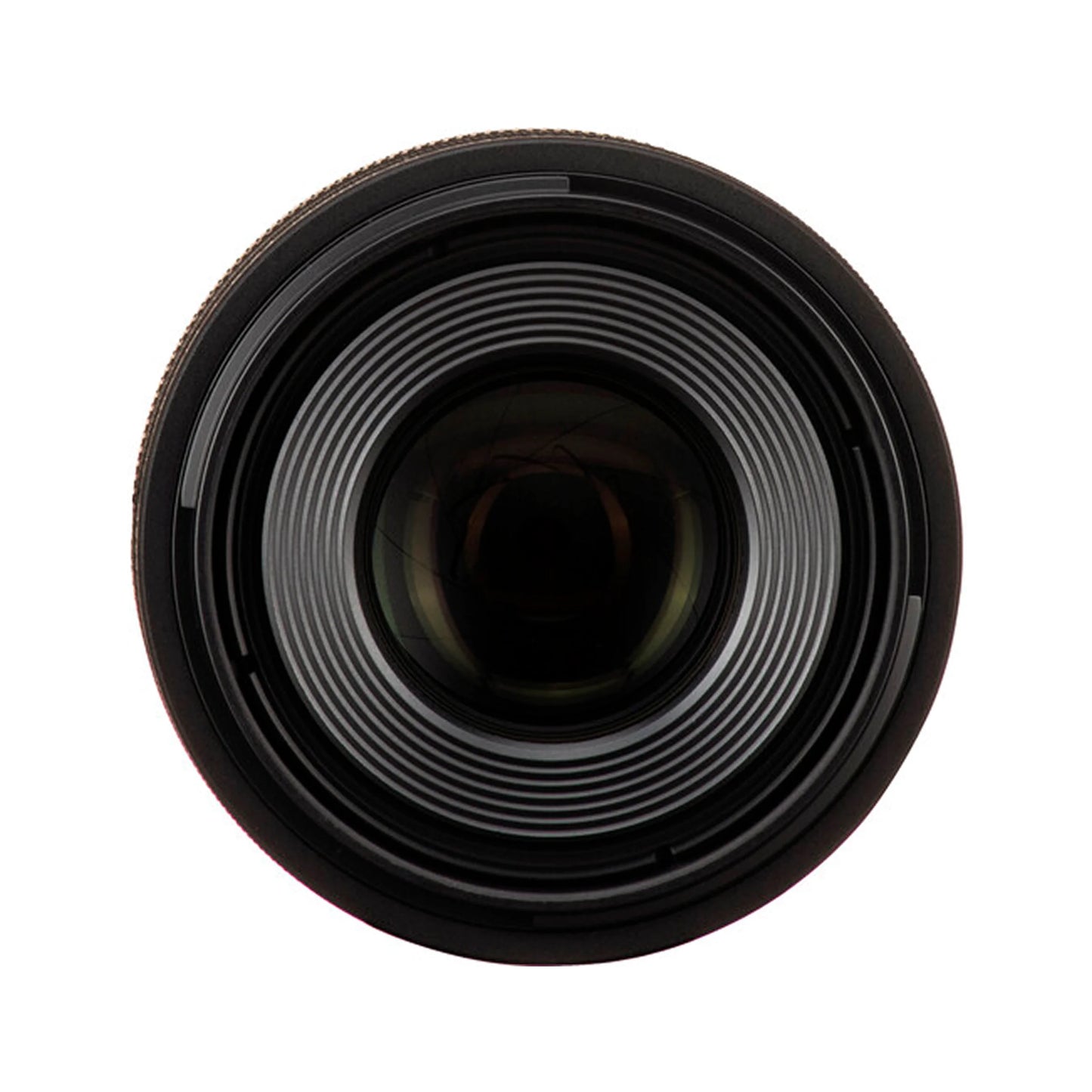 Canon RF100mm F2.8 L Macro IS USM